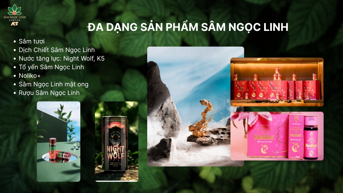 Sự đa dạng trong "gia đình" sản phẩm Sâm Ngọc Linh K5.