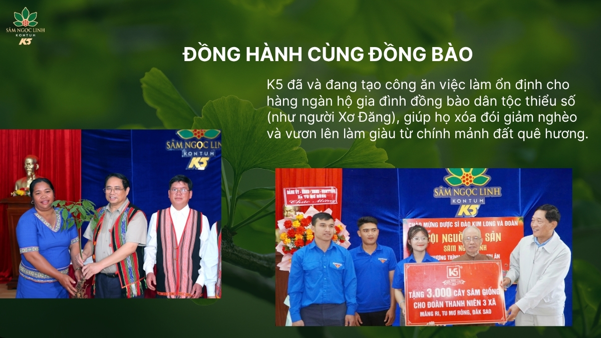 K5 đồng hành cùng đồng bào Xơ Đăng thông qua việc tặng cây sâm giống.