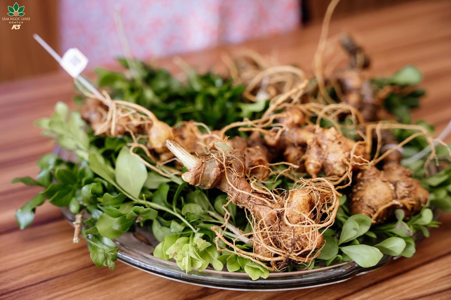 Sâm Ngọc Linh chứa nhiều thành phần dưỡng chất giúp cải thiện tốt sức khỏe người dùng.