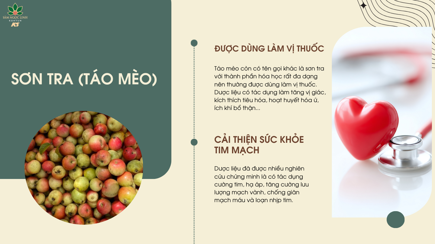  Sơn Tra giúp ngăn ngừa và làm giảm thiếu máu cơ tim.