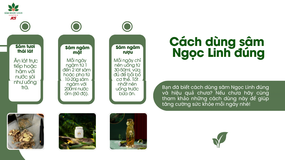 Cách dùng sâm Ngọc Linh đúng với nhiều hình thức khác nhau.
