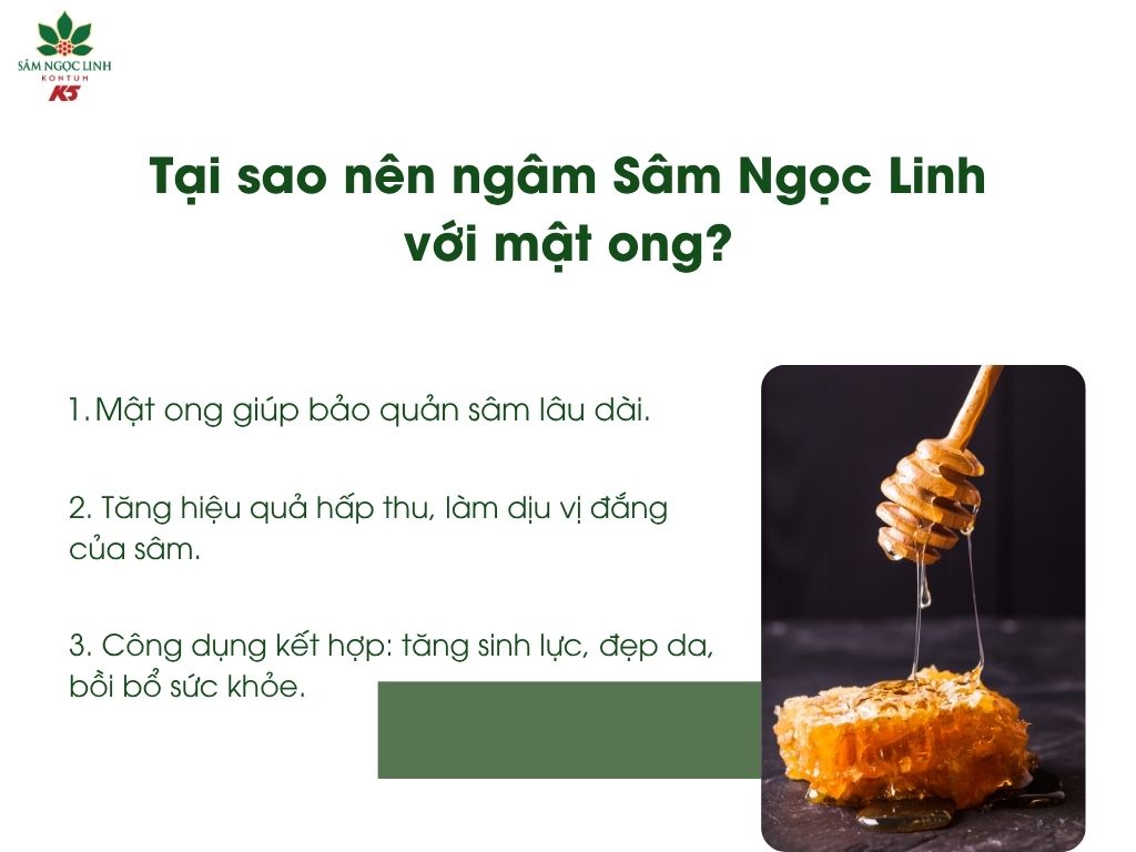 Có nhiều lợi ích khi ngâm Sâm Ngọc Linh cùng với mật ong.