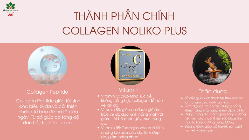 Các thành phần chính của Collagen Noliko Plus.