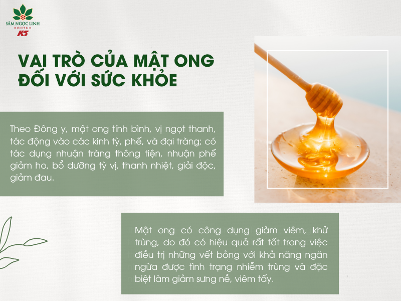 Mật ong rất có lợi cho sức khỏe, được dùng trong y học dân gian và hiện đại.