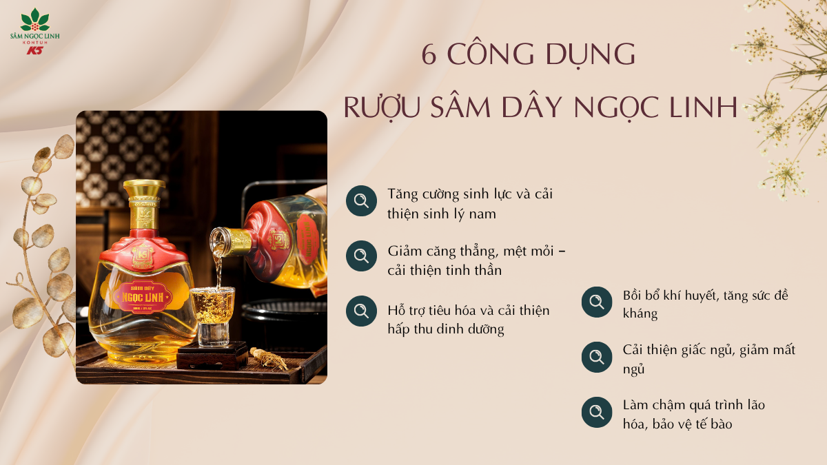 Các công dụng của rượu sâm dây Ngọc Linh.