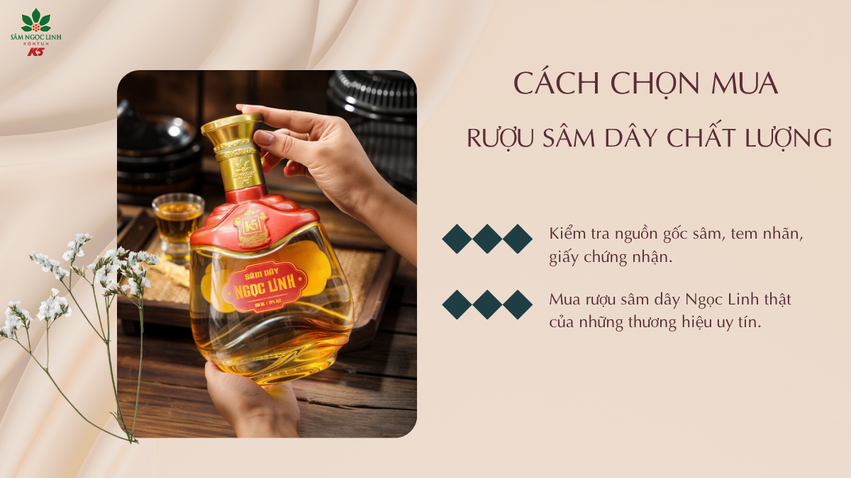 Các cách để chọn mua rượu sâm dây Ngọc Linh chất lượng.