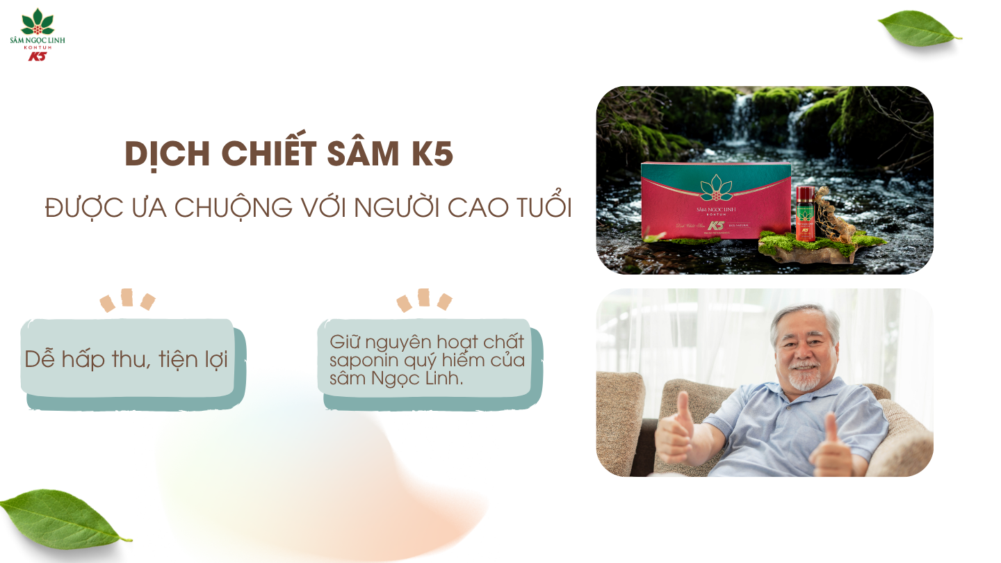 Lý do Dịch Chiết Sâm K5 được người cao tuổi ưa chuộng.