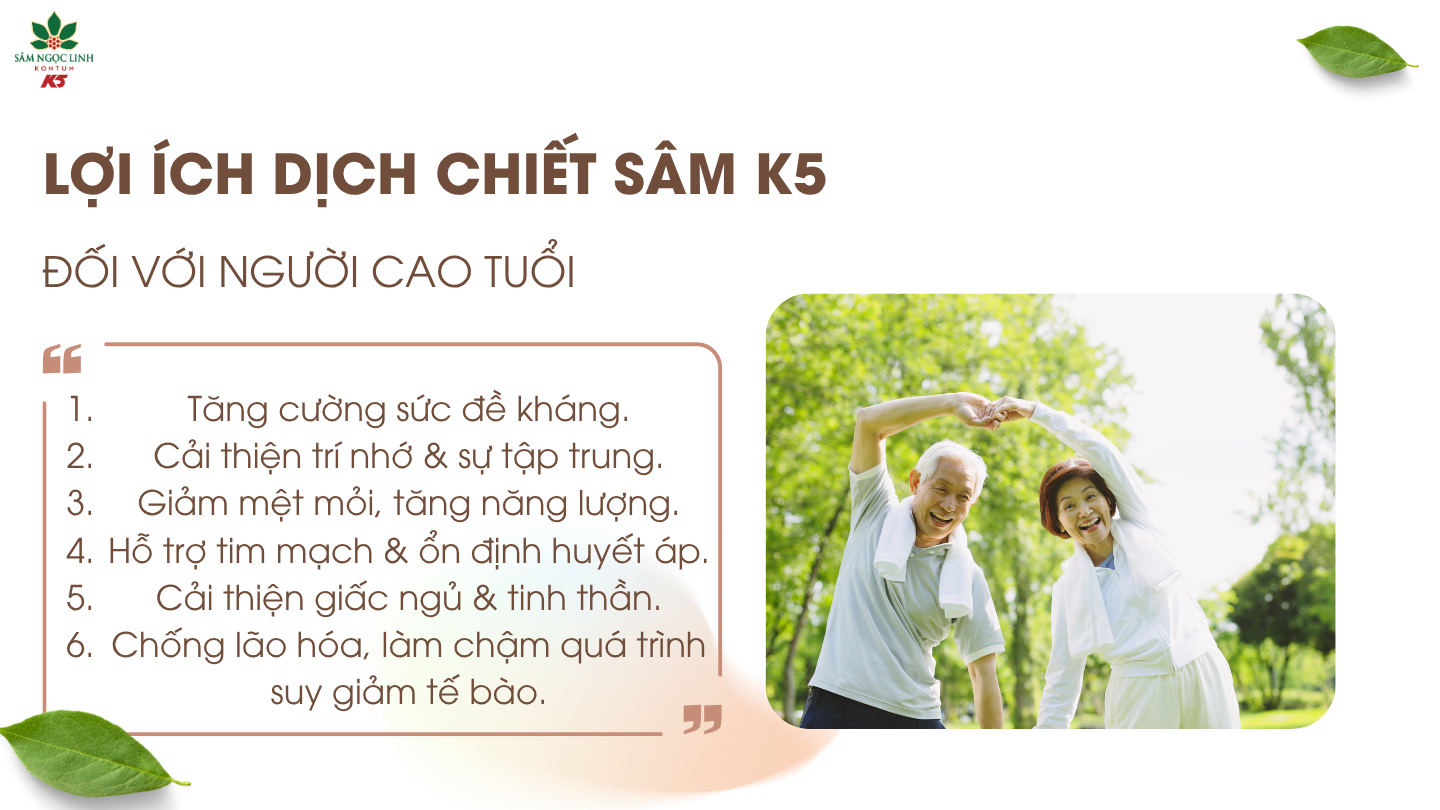 Lợi ích Dịch Chiết Sâm K5 đối với người cao tuổi.