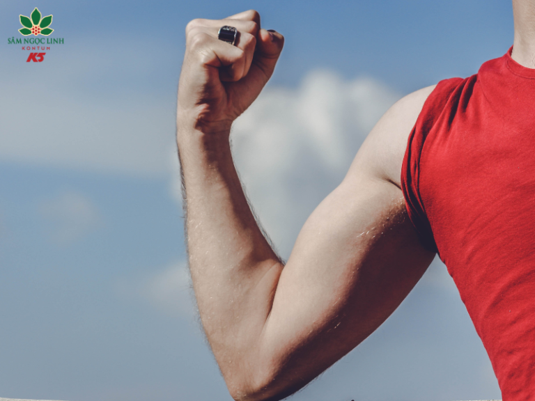 Dịch chiết Sâm K5 giúp tăng cường miễn dịch hiệu quả.