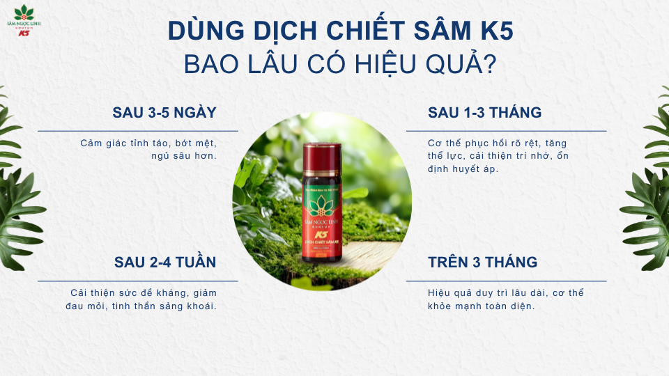 Dùng Dịch Chiết Sâm K5 bao lâu có hiệu quả?