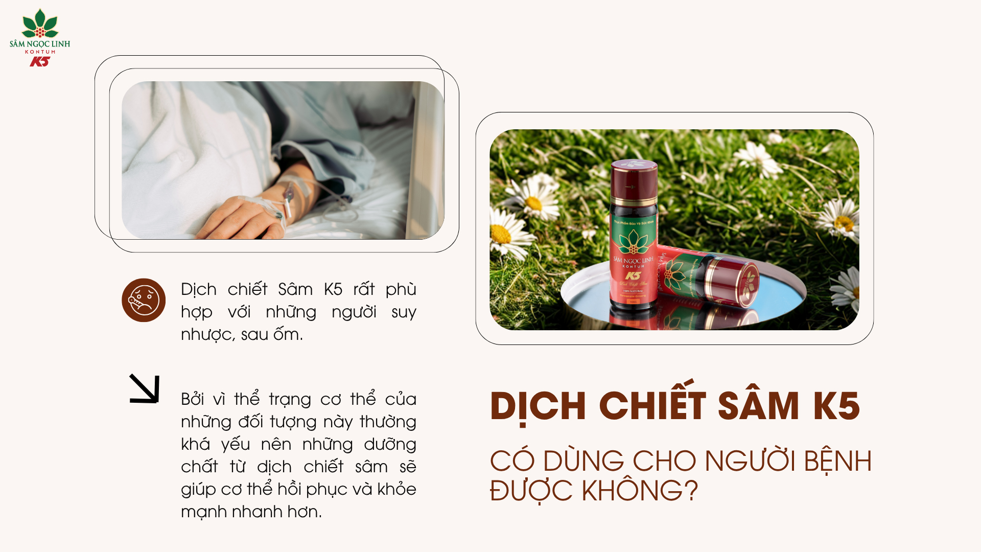 Người bệnh có sử dụng dịch chiết Sâm K5 được không?