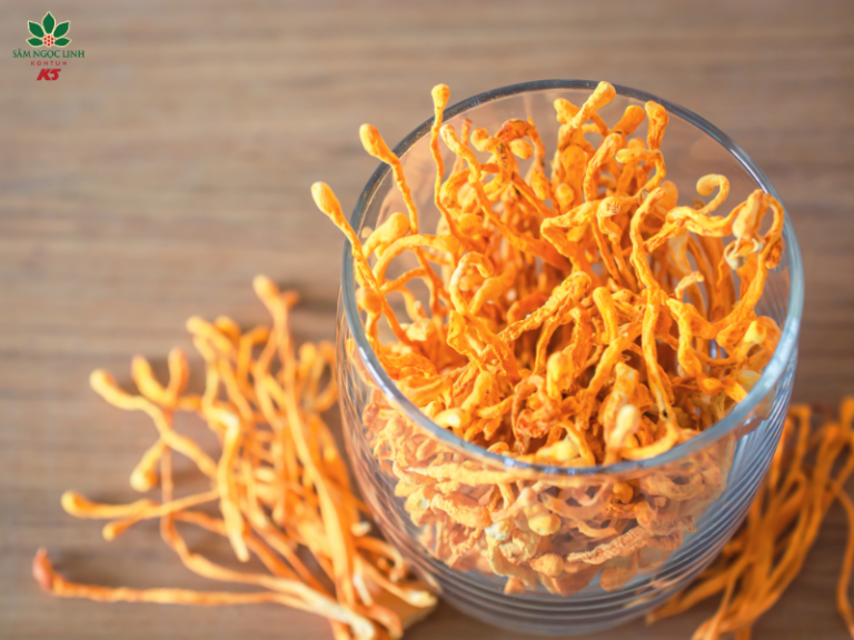 Đông TrùngHạ Thảo được nhiều người lựa chọn để làm quà tặng.