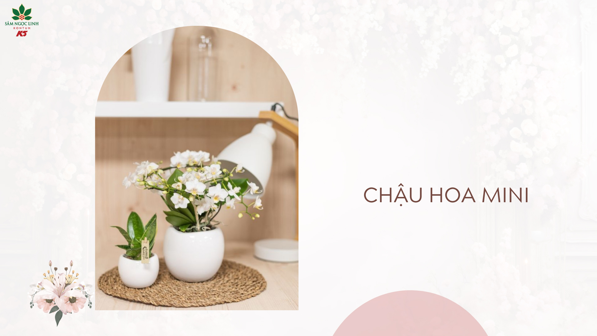Chậu hoa/chậu cây mini để bàn - Giúp thư giãn không gian sống.