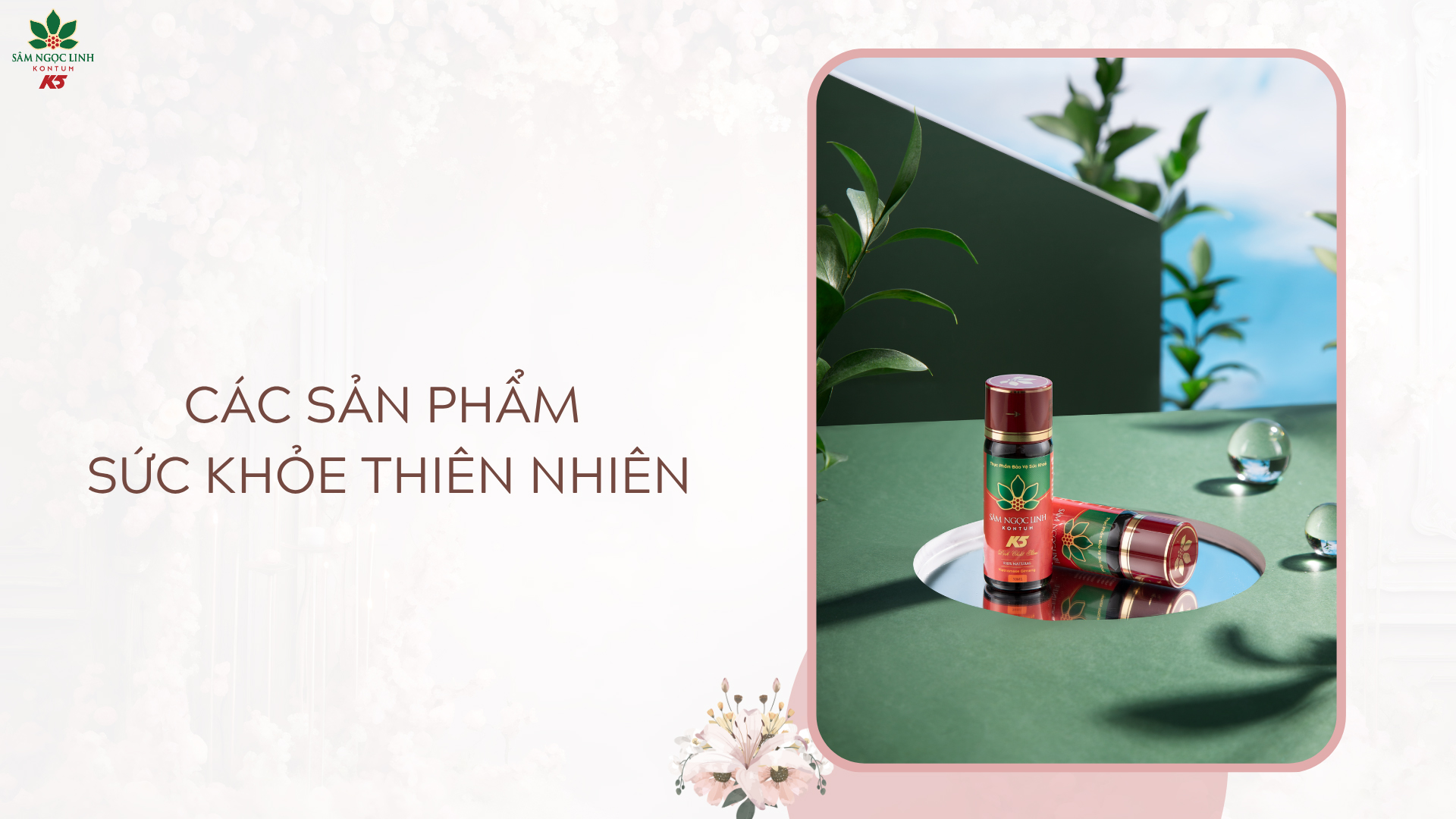 Các sản phẩm sức khỏe từ thiên nhiên - Giúp cơ thể thêm khỏe mạnh.