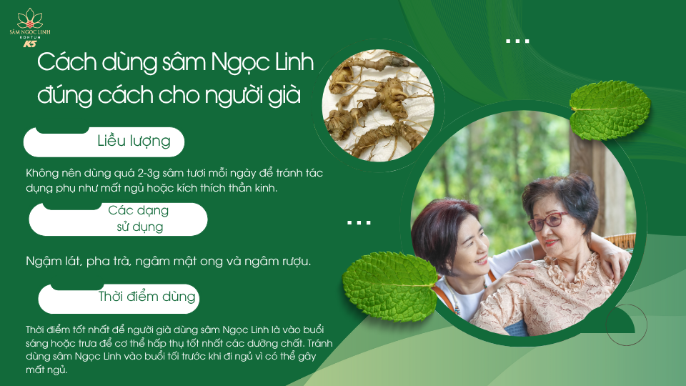 Dùng sâm Ngọc Linh cho người già đúng cách sẽ giúp bảo vệ và cải thiện sức khoẻ cho người lớn tuổi.