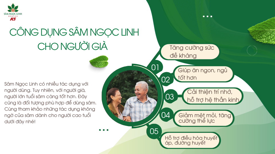 Sâm Ngọc Linh có nhiều công dụng dành cho người già.