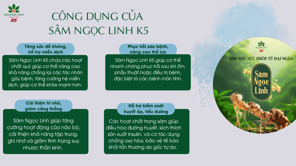Công dụng của sâm Ngọc Linh K5.