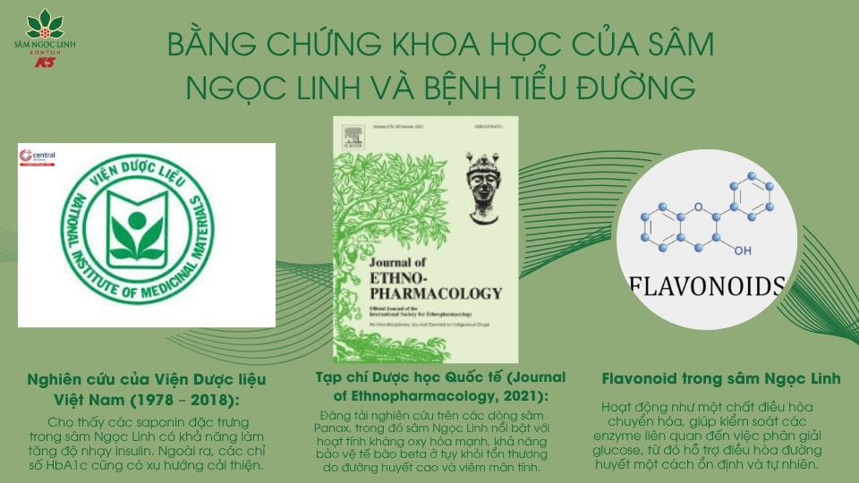 Bằng chứng khoa học của sâm Ngọc Linh và bệnh tiểu đường.
