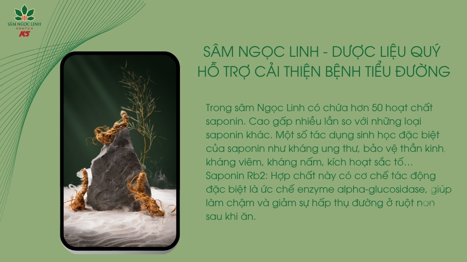 Sâm Ngọc Linh - Dược liệu quý hỗ trợ cải thiện sức khỏe người bệnh.