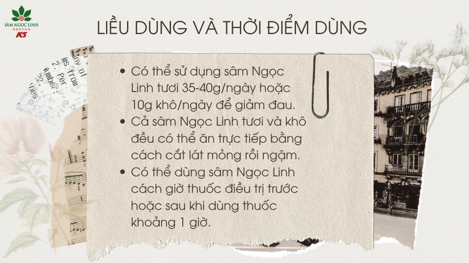 Cách dùng sâm Ngọc Linh với người bệnh ung thư.