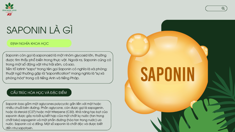 Những thông tin về saponin có thể bạn chưa biết.