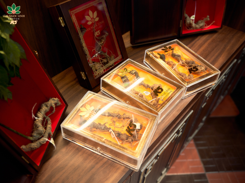 Sâm Ngọc Linh giúp ổn định huyết áp.