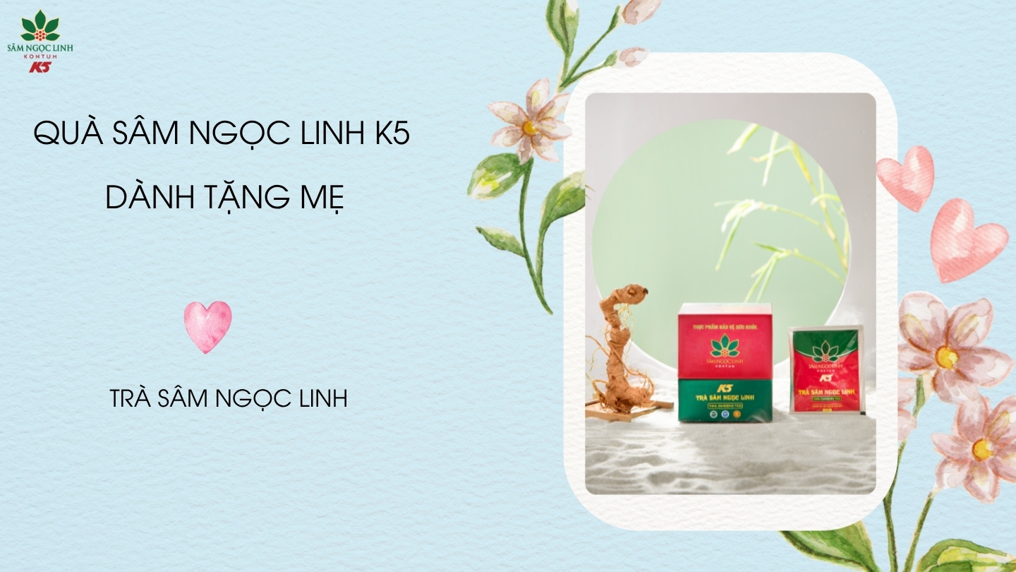 Trà Sâm Ngọc Linh giúp thanh nhiệt, cho cơ thể thêm sảng khoái và nhẹ nhàng.