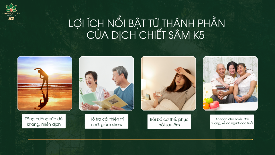 Lợi ích nổi bật từ thành phần dịch chiết sâm K5.