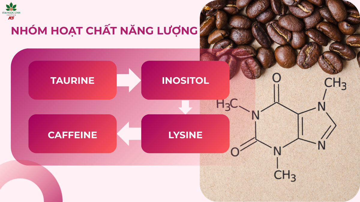  Nhóm hoạt chất năng lượng trong Night Wolf.