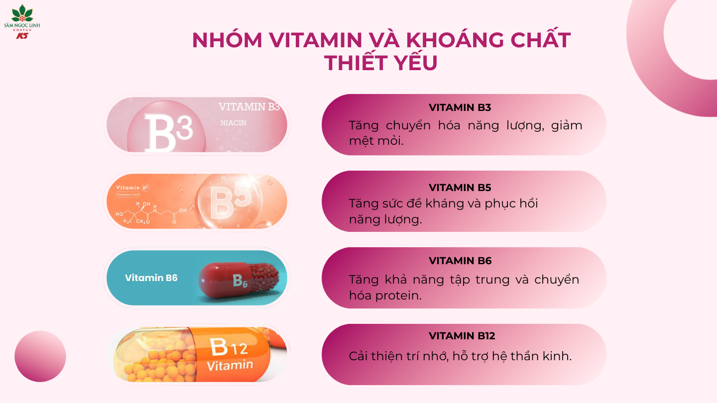  Nhóm vitamin và khoáng chất thiết yếu trong Night Wolf.