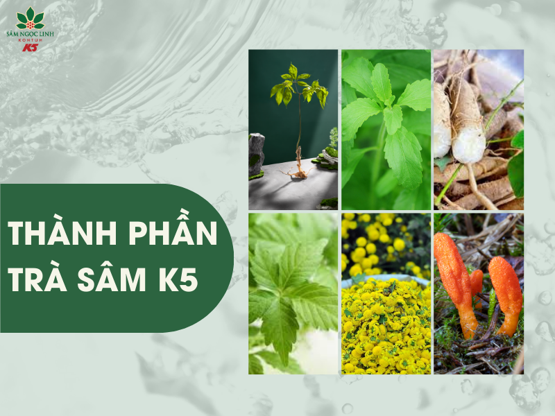 Thành phần của Trà Sâm K5 bao gồm nhiều thảo dược thiên nhiên.