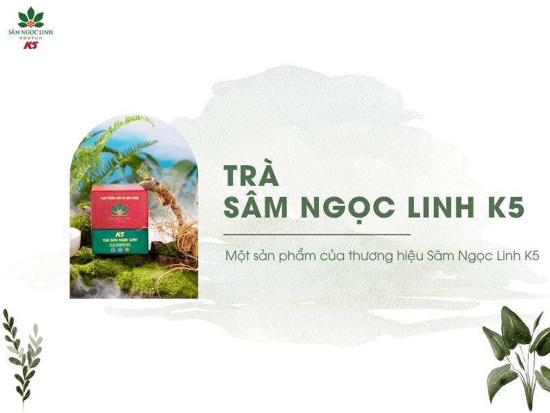 Trà Sâm Ngọc Linh K5 được nhiều người yêu thích.