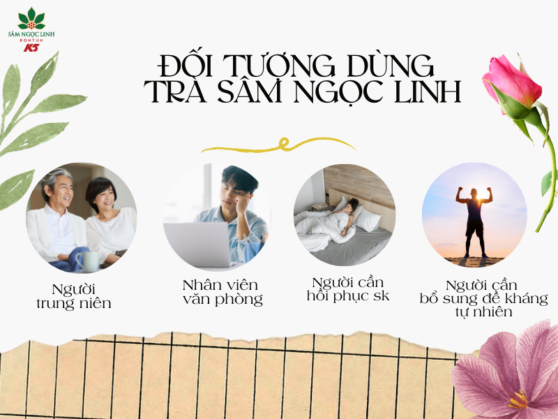 Trà Sâm Ngọc Linh phù hợp với nhiều đối tượng sử dụng.