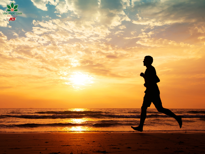 Sâm Ngọc Linh giúp tăng cường sức đề kháng tốt hơn.