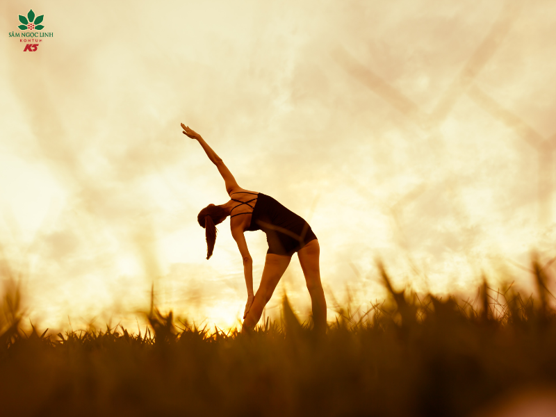 Trà Sâm Ngọc Linh K5 giúp tăng cường miễn dịch tự nhiên.