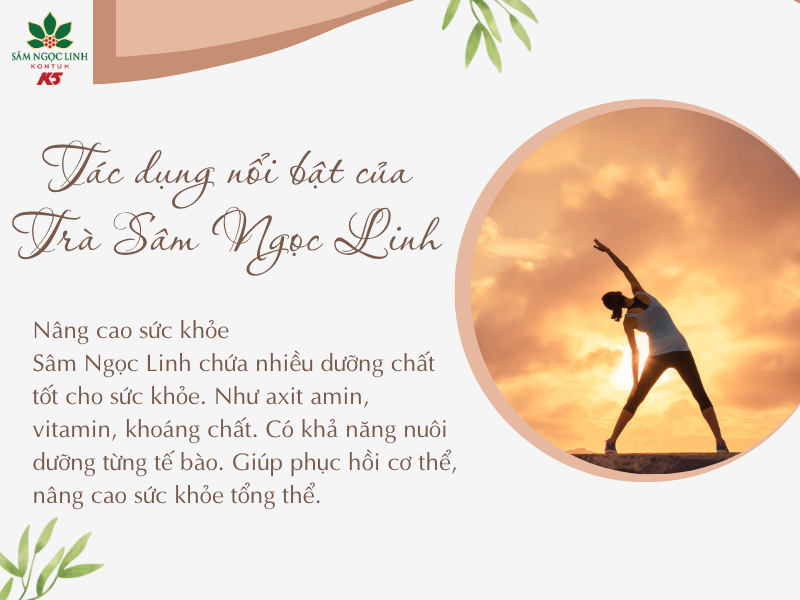 Trà Sâm Ngọc Linh giúp nâng cao sức khỏe người dùng một cách hiệu quả.