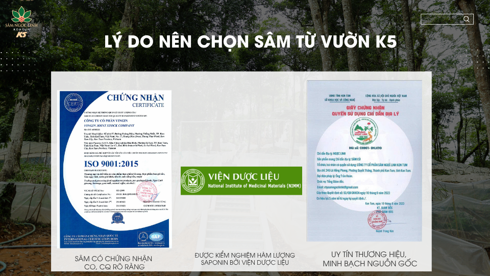 Những lý do nên chọn sâm từ vườn sâm K5.