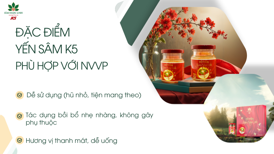 Những đặc điểm của Yến Sâm K5 phù hợp với nhân viên văn phòng.