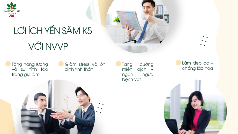 Lợi ích của Yến Sâm K5 cho dân văn phòng.