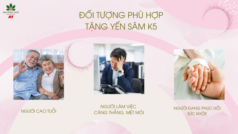 Các đối tượng phù hợp để dành tặng Yến Sâm K5.