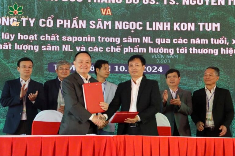 Đại diện Sâm Ngọc Linh K5 ký kết hợp tác với nhóm nghiên cứu Đại học Tôn Đức Thắng.
