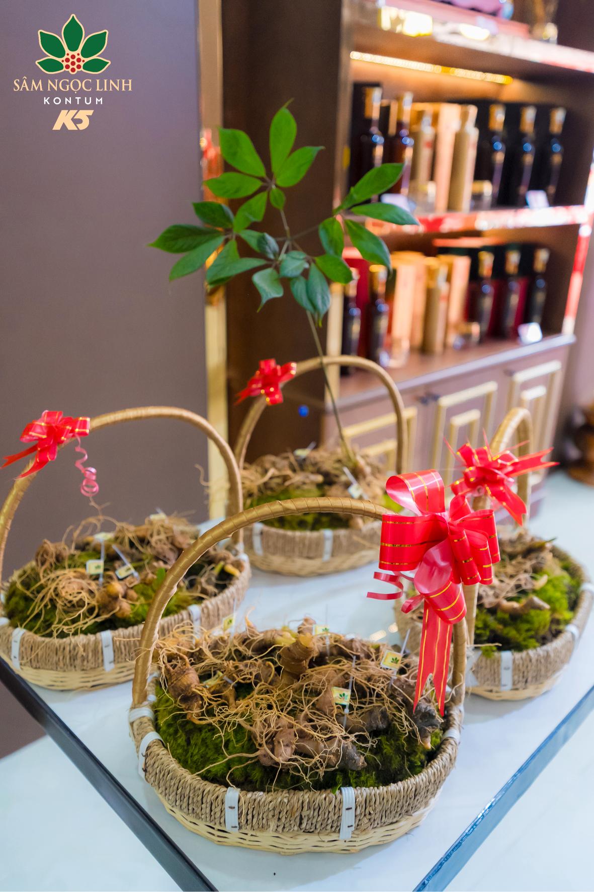 Củ sâm Ngọc Linh tươi được trưng bày tại showroom.