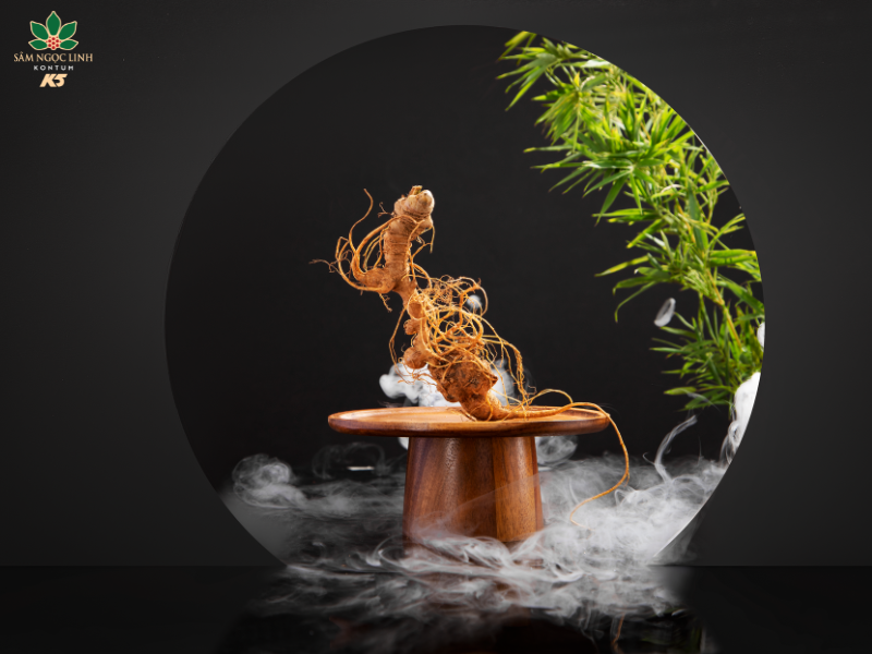 Củ Sâm Ngọc Linh tươi quý hiếm có nhiều công dụng cho sức khỏe.