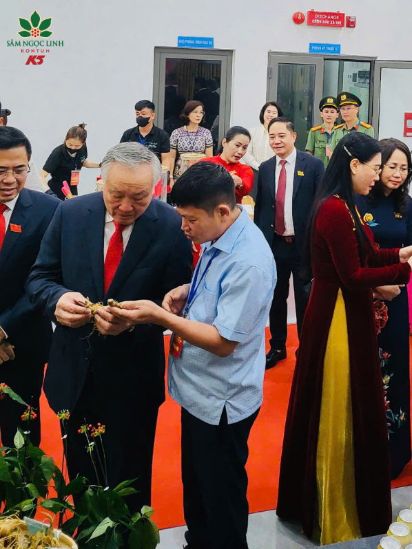 Ông Nguyễn Hòa Bình - Phó Thủ tướng Thường trực Chính phủ Nguyễn Hòa Bình nghe giới thiệu về củ sâm Ngọc Linh tại gian hàng Sâm Ngọc Linh K5.