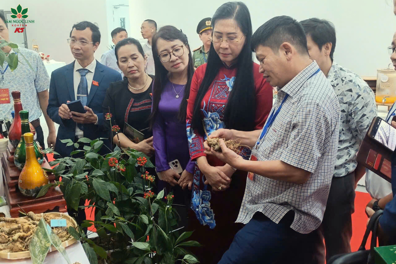 Bà Bùi Thị Quỳnh Vân - Ủy viên Ban Chấp hành Trung ương Đảng, Bí thư Tỉnh ủy tham quan gian hàng Sâm Ngọc Linh K5.