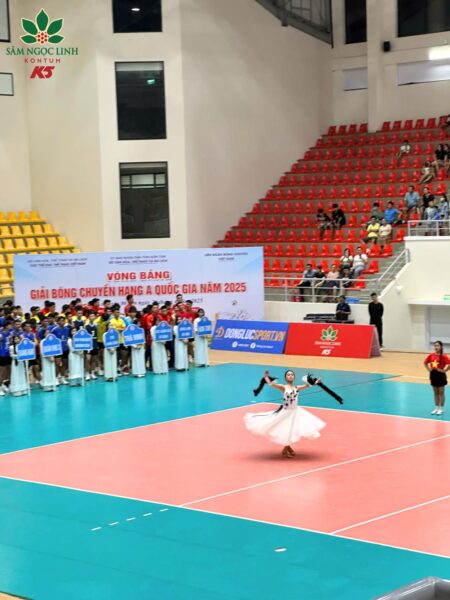 Biểu diễn nghệ thuật tại buổi khai mạc.