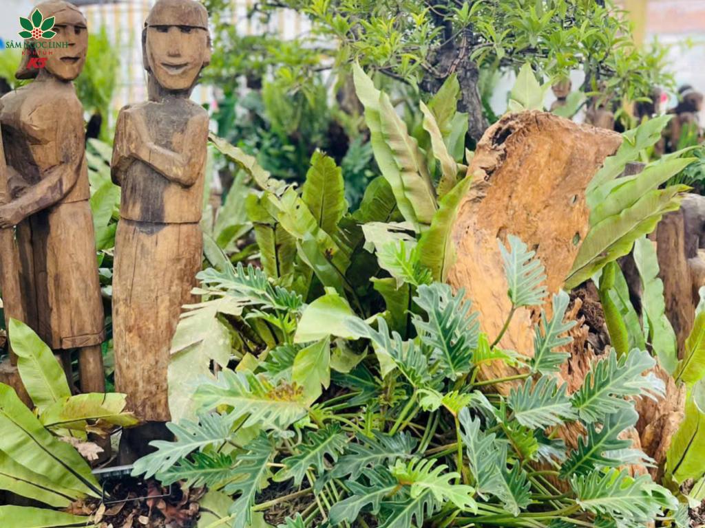 Các tiểu cảnh, không gian trang trí bên trong rừng sâm.