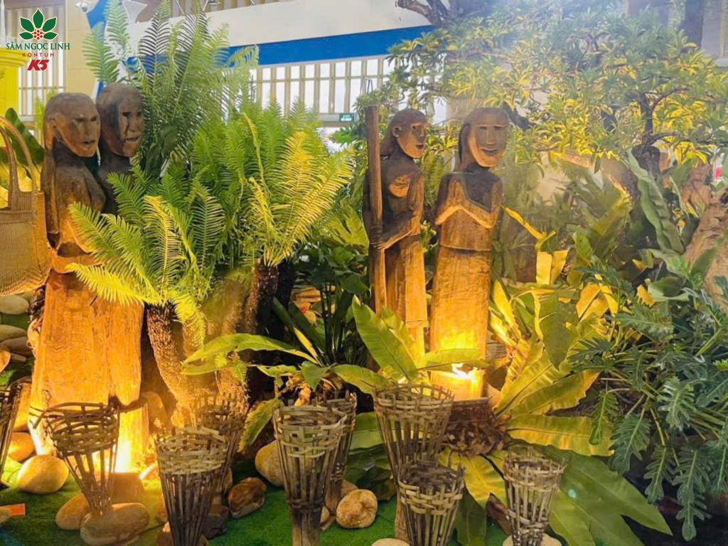 Cách bày trí gian hàng Quảng Ngãi, rừng sâm K5 tại buổi triển lãm.