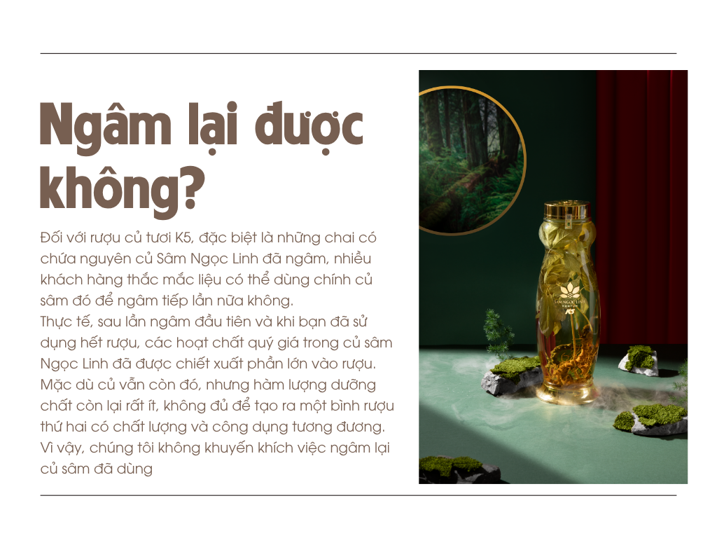 Rượu củ tươi K5 ngâm lại được không?