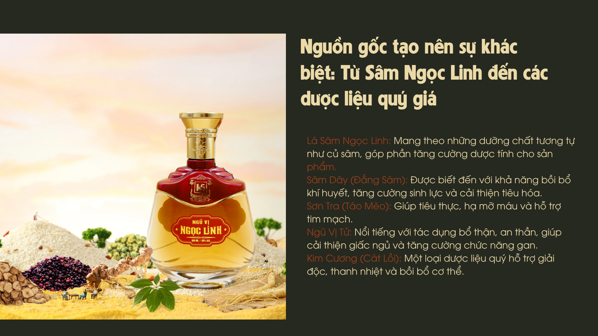 Thành phần của rượu Ngũ Vị K5